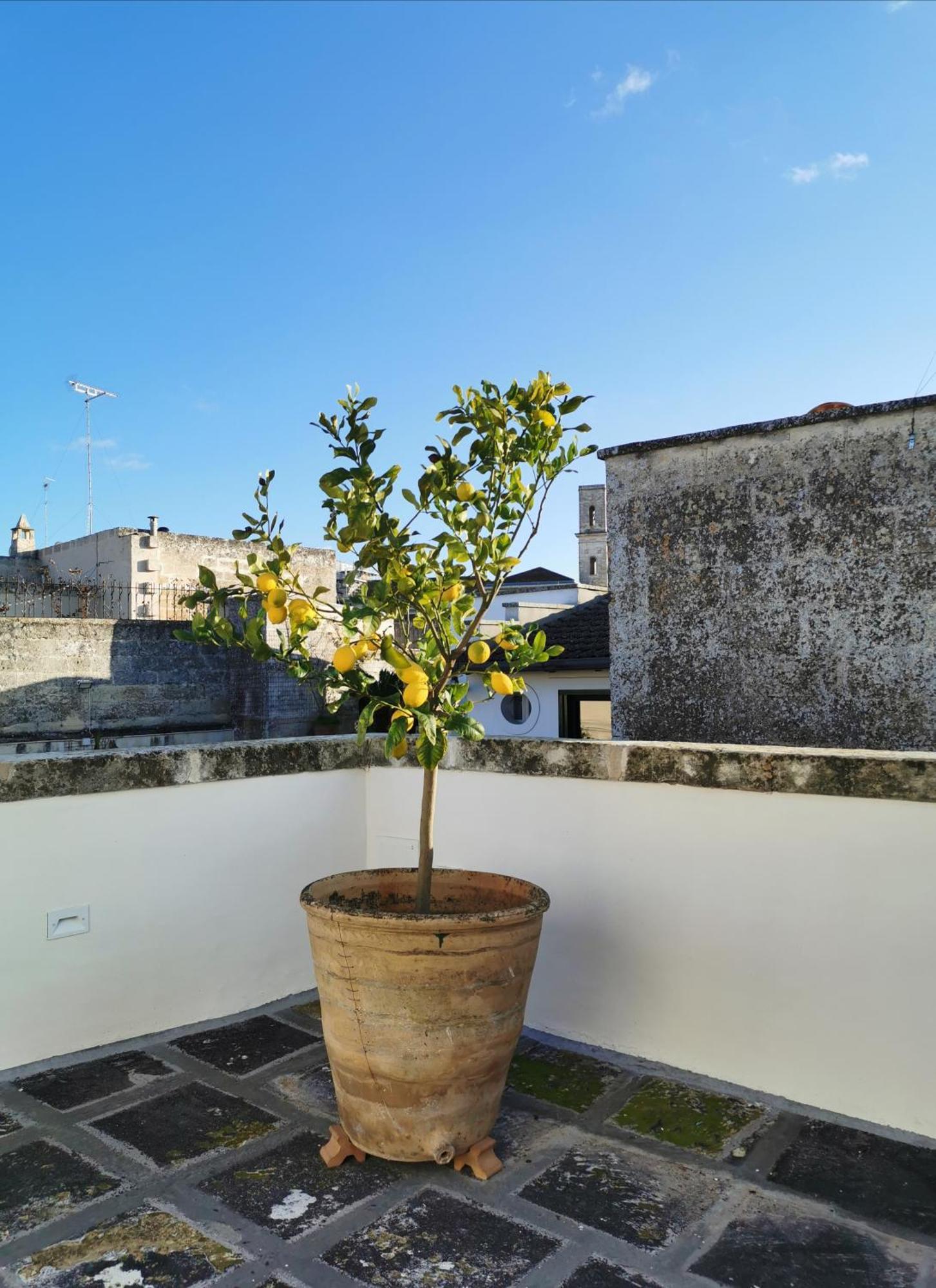 Coniger 4 Casa Vacanze In Centro Lecce Con Wi-Fi E Smart Tv Eksteriør billede